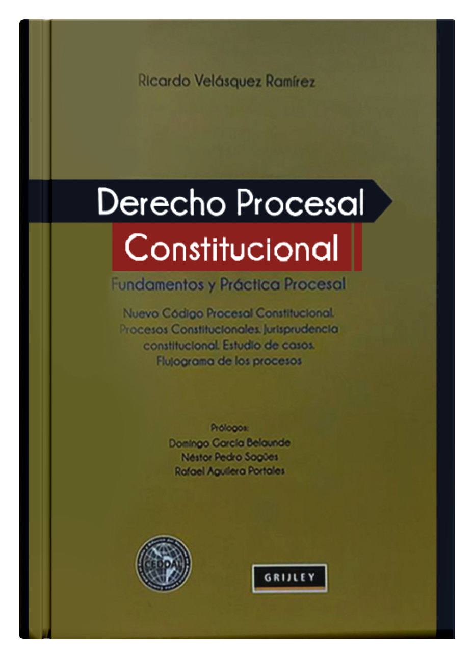 DERECHO PROCESAL CONSTITUCIONAL - Fundamentos y Práctica Procesal.