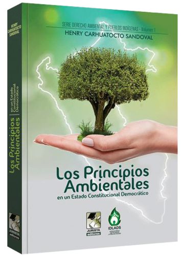 LOS PRINCIPIOS AMBIENTALES  LOS PRINCIPIOS AMBIENTALES