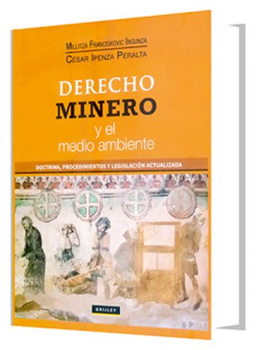 DERECHO MINERO Y EL MEDIO AMBIENTE DERECHO MINERO Y EL MEDIO AMBIENTE