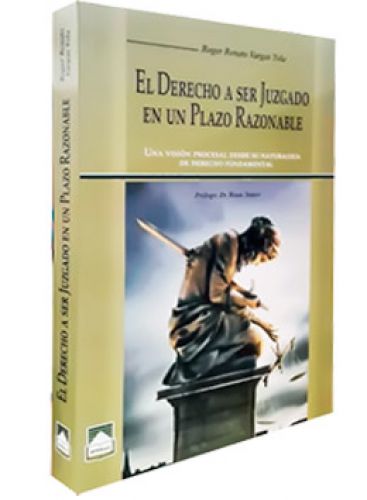 EL DERECHO A SER JUZGADO EN UN PLAZO RAZONABLE EL DERECHO A SER JUZGADO EN UN PLAZO RAZONABLE