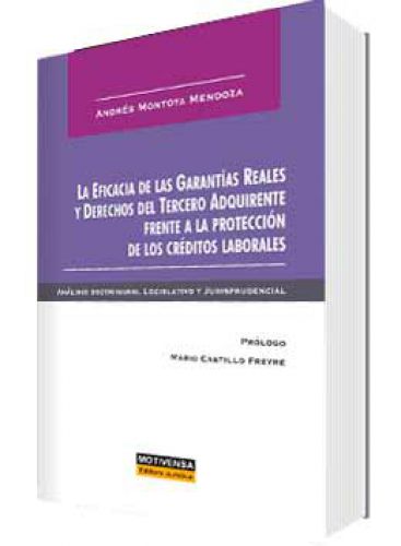 LA EFICACIA DE LAS GARANTIAS REALES Y DERECHOS DEL TERCERO ADQUIRENTE