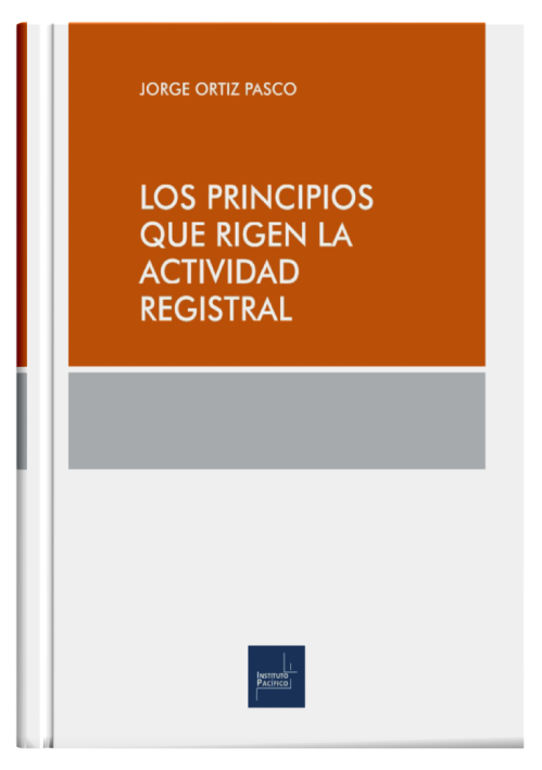 LOS PRINCIPIOS QUE RIGEN LA ACTIVIDAD REGISTRAL LOS PRINCIPIOS QUE RIGEN LA ACTIVIDAD REGISTRAL