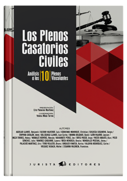 LOS PLENOS CASATORIOS CIVILES - Análisis a los 10 plenos vinculantes. LOS PLENOS CASATORIOS CIVILES - Análisis a los 10 plenos vinculantes.