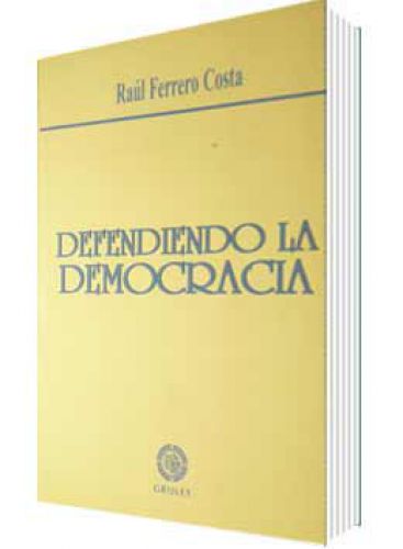 DEFENDIENDO LA DEMOCRACIA DEFENDIENDO LA DEMOCRACIA