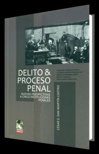 DELITOS Y PROCESO PENAL - nuevas perspectivas a cinco instituciones penales