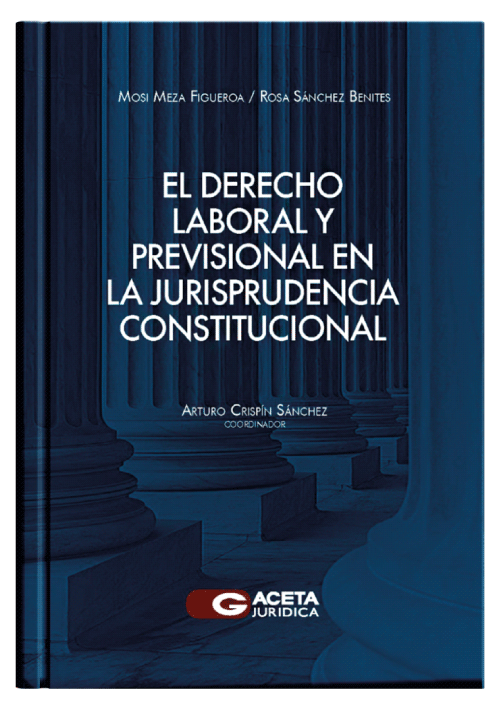 EL DERECHO LABORAL Y PREVISIONAL EN LA JURISPRUDENCIA CONSTITUCIONAL EL DERECHO LABORAL Y PREVISIONAL EN LA JURISPRUDENCIA CONSTITUCIONAL