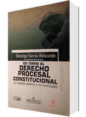 EN TORNO AL DERECHO PROCESAL CONSTITUCIONAL EN TORNO AL DERECHO PROCESAL CONSTITUCIONAL