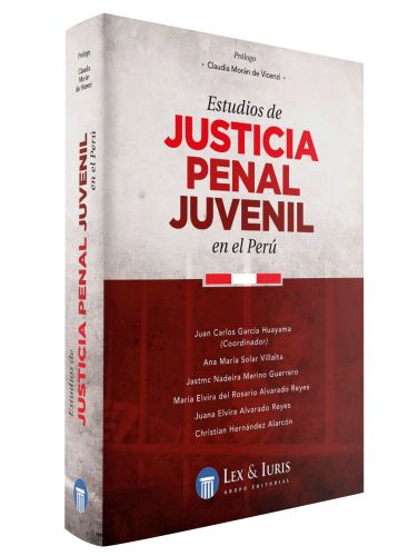 Justicia Penal Juvenil