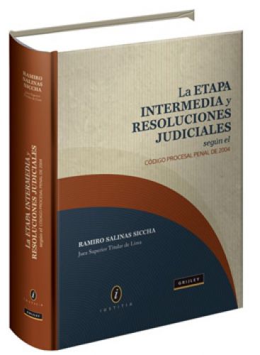 LA ETAPA INTERMEDIA Y RESOLUCIONES JUDICIALES LA ETAPA INTERMEDIA Y RESOLUCIONES JUDICIALES