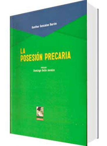 LA POSESIÓN PRECARIA  LA POSESIÓN PRECARIA
