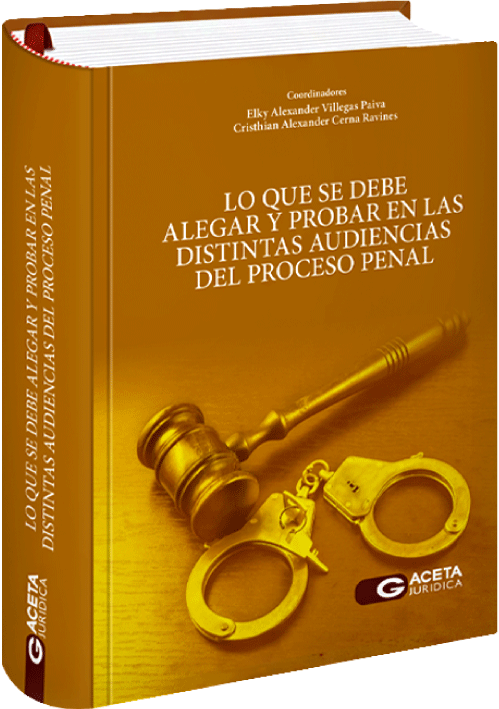 LO QUE SE DEBE ALEGAR Y PROBAR EN LAS DISTINTAS AUDIENCIAS DEL PROCESO PENAL LO QUE SE DEBE ALEGAR Y PROBAR EN LAS DISTINTAS AUDIENCIAS DEL PROCESO PENAL