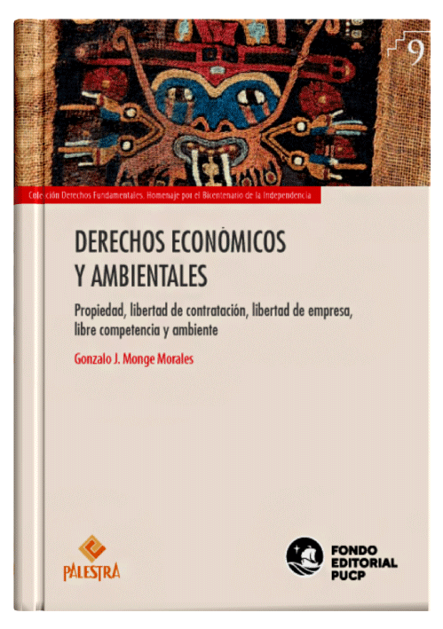 DERECHOS ECONÓMICOS Y AMBIENTALES DERECHOS ECONÓMICOS Y AMBIENTALES