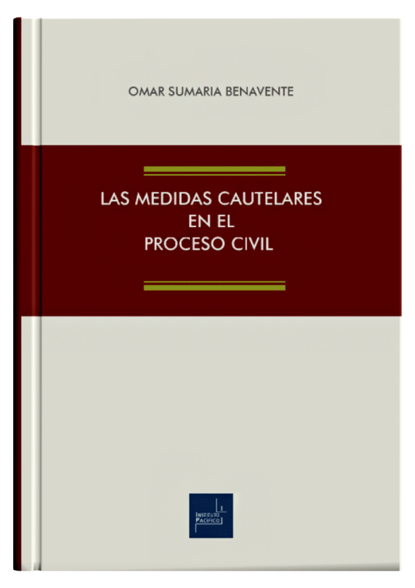 LAS MEDIDAS CAUTELARES EN EL PROCESO CIVIL LAS MEDIDAS CAUTELARES EN EL PROCESO CIVIL