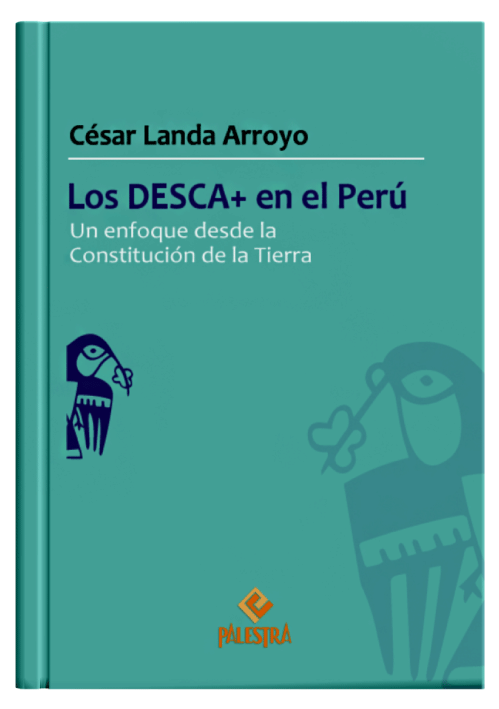 LOS DESCA+ EN EL PERÚ LOS DESCA+ EN EL PERÚ