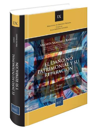 EL DAÑO NO PATRIMONIAL Y SU REPARACIÓN EL DAÑO NO PATRIMONIAL Y SU REPARACIÓN