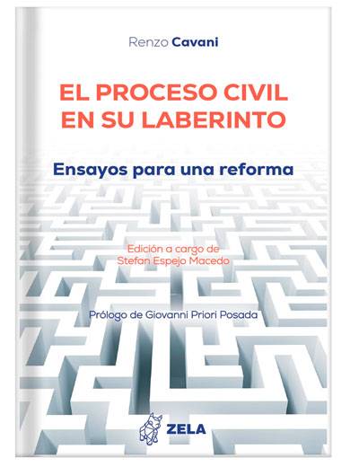 EL PROCESO CIVIL EN SU LABERINTO ENSAYOS..