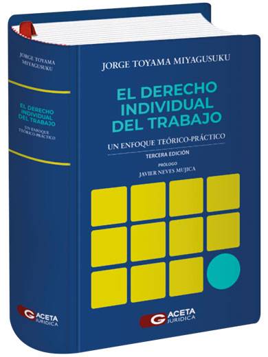 EL DERECHO INDIVIDUAL DEL TRABAJO. UN ENFOQUE TEÓRICO-PRÁCTICO
