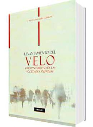 LEVANTAMIENTO DEL VELO Y REPONSABILIDAD DE LAS SOCIEDADES ANÓNIMAS