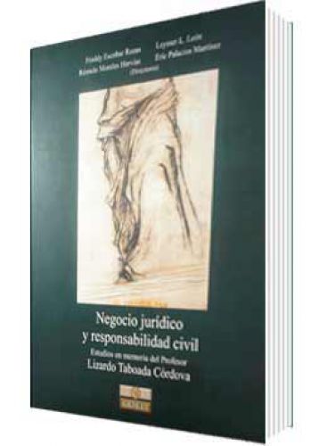 NEGOCIO JUR�DICO Y RESPONSABILIDAD CIVIL NEGOCIO JUR�DICO Y RESPONSABILIDAD CIVIL