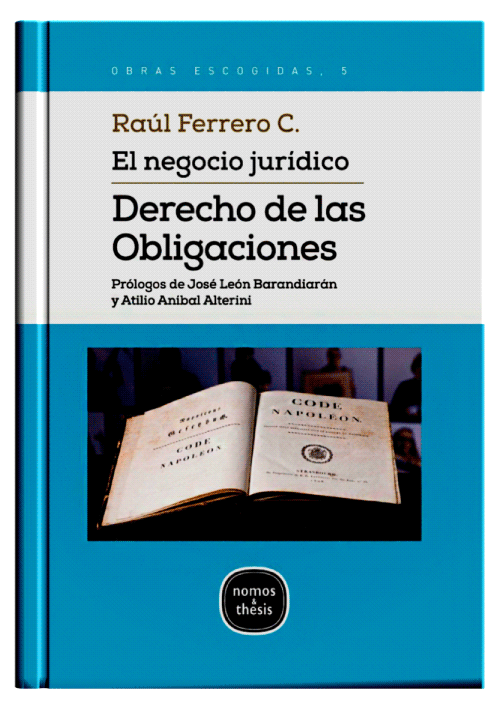 EL NEGOCIO JURÍDICO DERECHO DE LAS OBLI..