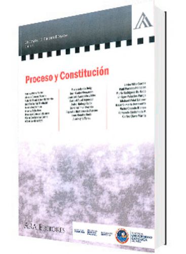 PROCESO Y CONSTITUCIÓN