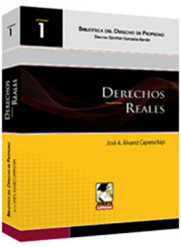 DERECHOS REALES DERECHOS REALES