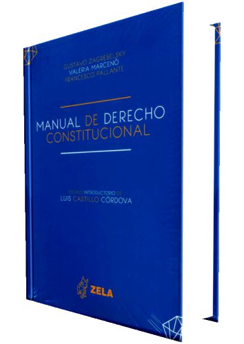 MANUAL DE DERECHO CONSTITUCIONAL..